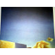 Salvador Dali Off set lithograph cm 50x65 certified
