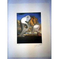 Salvador Dali Lithografie off set 50x65 cm gecertificeerd