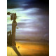 Salvador Dali Off set lithograph cm 50x65 certified