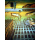 Salvador Dali Off set lithograph cm 50x65 certified