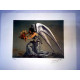 Salvador Dali Lithografie off set 50x65 cm gecertificeerd