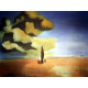 Conjunt de litografia de Salvador Dalí 50x65 cm certificat