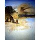 Conjunt de litografia de Salvador Dalí 50x65 cm certificat