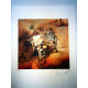 Litografia Salvador Dali off set 50x65 cm certificada