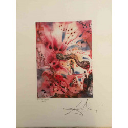 Salvador Dali Off set lithograph cm 50x65 certified