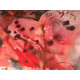 Salvador Dali Off set lithograph cm 50x65 certified