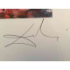 Salvador Dali Off set lithograph cm 50x65 certified