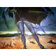 Salvador Dali Off set lithograph cm 50x65 certified