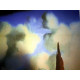 Salvador Dali Off set lithograph cm 50x65 certified