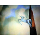 Salvador Dali Off set lithograph cm 50x65 certified