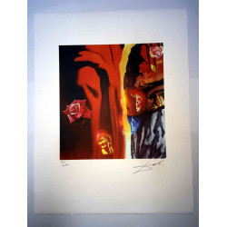 Litografická sada Salvador Dali s certifikací 50x65 cm