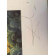 Litografická súprava Salvador Dali certifikovaná 50x65 cm