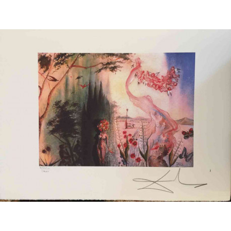 Salvador Dali Litografia off set cm 50x65   certificata