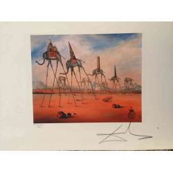 Salvador Dali Off set lithograph cm 50x65 certified