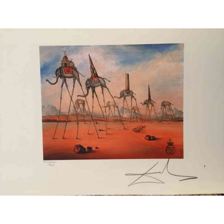 Salvador Dali Off set lithograph cm 50x65 certified