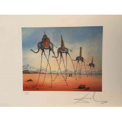 Salvador Dalí Litografía off set 50x65 cm certificado
