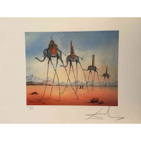 Salvador Dalí Litografía off set 50x65 cm certificado