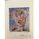 Litografia Salvador Dali off set 50x65 cm certificada