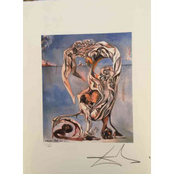 Salvador Dali Off set lithograph cm 50x65 certified