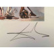 Litografia Salvador Dali off set 50x65 cm certificada