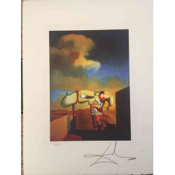 Litografická sada Salvador Dali s certifikací 50x65 cm