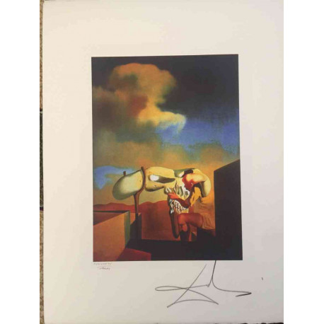 Litografická sada Salvador Dali s certifikací 50x65 cm