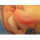 Litografía Salvador Dali off set 50x65 cm certificada