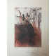 Salvador Dali Lithographie Offset 50x65 cm zertifiziert