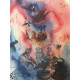 Litografická súprava Salvador Dali certifikovaná 50x65 cm