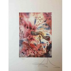 Salvador Dali Lithographie hors set 50x65 cm certifiée