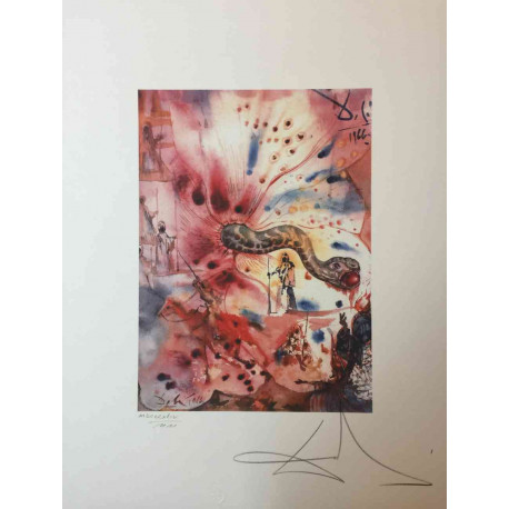 Salvador Dali Lithographie hors set 50x65 cm certifiée