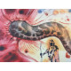 Salvador Dali Lithographie hors set 50x65 cm certifiée