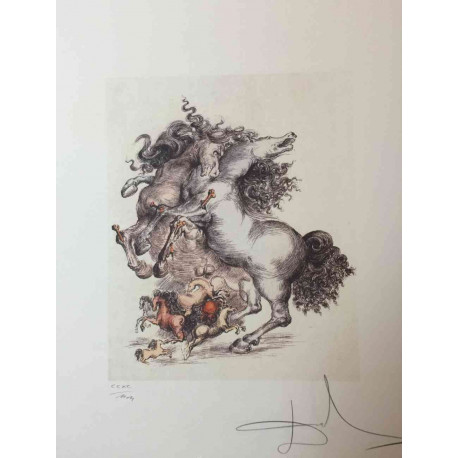 Salvador Dali 50x65 cm-ko litografia-sorta ziurtatua