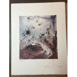Salvador Dali Litografia off set cm 50x65   certificata