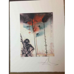 Litografická súprava Salvador Dali certifikovaná 50x65 cm