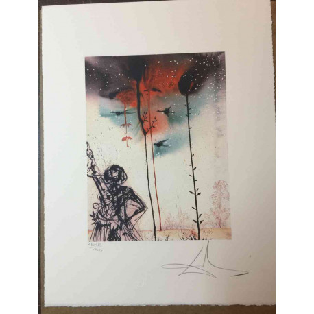 Litografická súprava Salvador Dali certifikovaná 50x65 cm