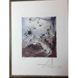 Salvador Dalí Litografía off set 50x65 cm certificado