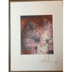 Salvador Dali Lithographie Offset 50x65 cm zertifiziert