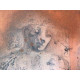 Salvador Dali Lithographie Offset 50x65 cm zertifiziert