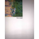 Claude Monet lithograph off set 50x70 cm