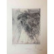 Salvador Dali Off set lithograph cm 50x65 certified