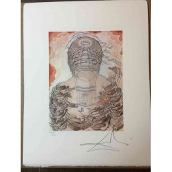 Salvador Dali Off set lithograph cm 50x65 certified