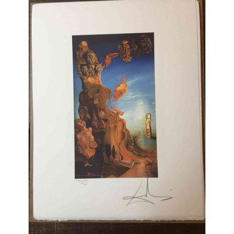 Salvador Dali 50x65 cm-ko litografia-sorta ziurtatua