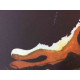 Conjunt de litografia de Salvador Dalí 50x65 cm certificat