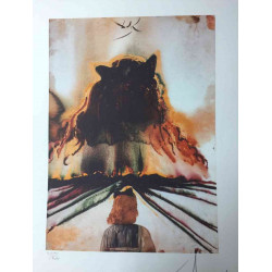 Salvador Dalí Litografía off set 50x65 cm certificado