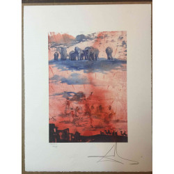 Litografická súprava Salvador Dali certifikovaná 50x65 cm