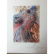 Setul de litografie Salvador Dali 50x65 cm certificat