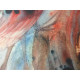 Setul de litografie Salvador Dali 50x65 cm certificat
