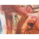 Salvador Dali Off set lithograph cm 50x65 certified