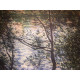 Claude Monet lithograph off set 50x70 cm